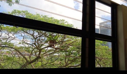 Feng Ling 20250405 - Picture1