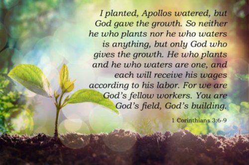 Feng Ling 20250712_惟有上帝 - pic1